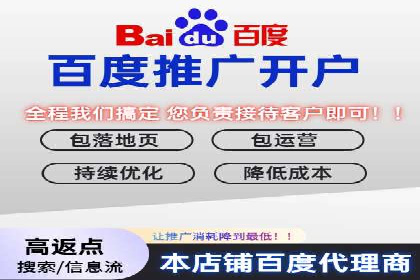 SEM代理助力品牌：案例解析，优化策略全揭秘